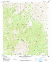 Pinal Peak 1964 topographic map thumbnail