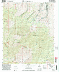 Pinal Peak 2004 topographic map thumbnail