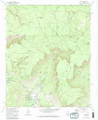 Pine 1973 topographic map thumbnail