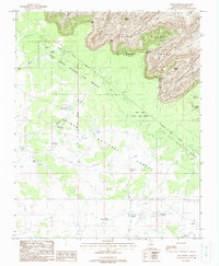 Piute Point 1988 topographic map thumbnail