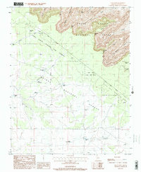 Piute Point 1988 topographic map thumbnail