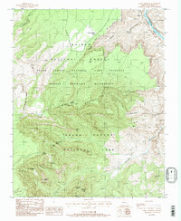 Point Imperial 1988 topographic map thumbnail