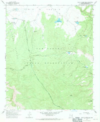 Point of Pines East 1967 topographic map thumbnail
