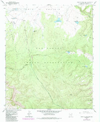 Point of Pines East 1967 topographic map thumbnail