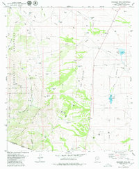 Presumido Peak 1979 topographic map thumbnail