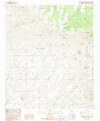 Rattlesnake Spring 1989 topographic map thumbnail