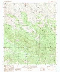 Rawhide Mountain 1989 topographic map thumbnail