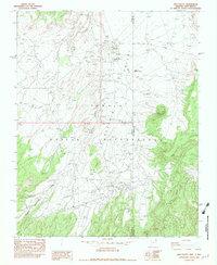 Red Valley 1982 topographic map thumbnail