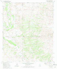 Redington 1981 topographic map thumbnail