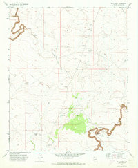 Relic Point topographic map thumbnail