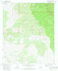 Rincon Peak 1981 topographic map thumbnail
