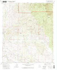 Rincon Peak 1981 topographic map thumbnail
