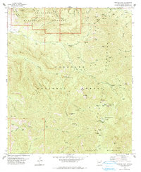 Rustler Park 1978 topographic map thumbnail