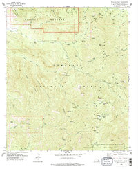 Rustler Park 1978 topographic map thumbnail
