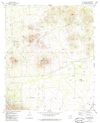 San Pedro 1979 topographic map thumbnail