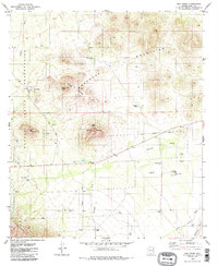 San Pedro 1979 topographic map thumbnail