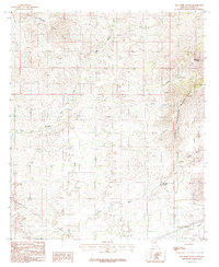 San Pedro Ranch 1985 topographic map thumbnail