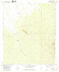 Sand Wells 1979 topographic map thumbnail