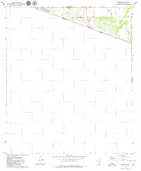 Sasabe 1979 topographic map thumbnail