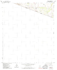 Sasabe 1979 topographic map thumbnail