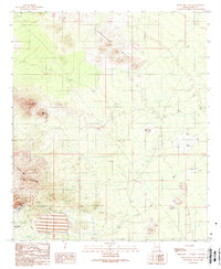 Silver Bell East 1989 topographic map thumbnail