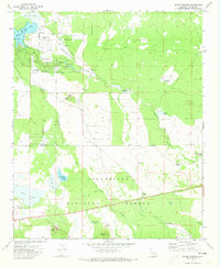 Silver Springs 1971 topographic map thumbnail