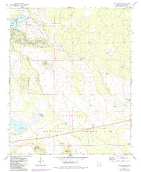 Silver Springs 1971 topographic map thumbnail