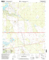 Silver Springs 1998 topographic map thumbnail