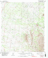 Stevens Mtn. 1979 topographic map thumbnail