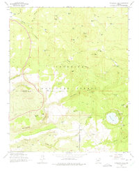 Stoneman Lake 1965 topographic map thumbnail