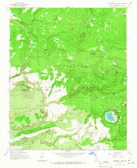 Stoneman Lake 1965 topographic map thumbnail