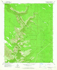 Sycamore Point 1963 topographic map thumbnail