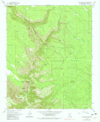 Sycamore Point 1963 topographic map thumbnail