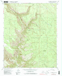 Sycamore Point 1963 topographic map thumbnail