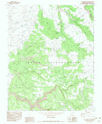 Tall Tree Mesa 1982 topographic map thumbnail