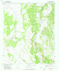 The Rincon 1971 topographic map thumbnail