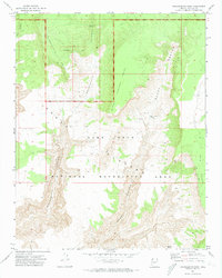 Tincanebitts Point 1971 topographic map thumbnail