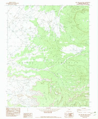 Toh Chin Lini Mesa 1982 topographic map thumbnail