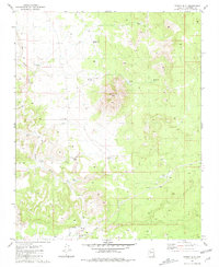 Trinity Mtn 1981 topographic map thumbnail