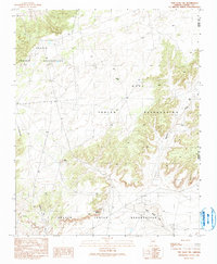 Tsin Naan Tee 1990 topographic map thumbnail