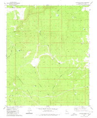 Tuckayou Spring 1980 topographic map thumbnail