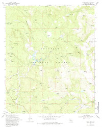 Turkey Mtn. 1970 topographic map thumbnail