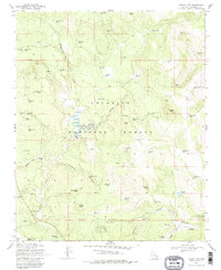 Turkey Mtn. 1970 topographic map thumbnail