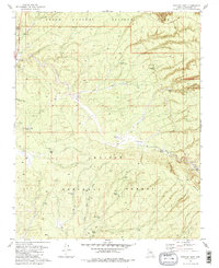 Tusayan East 1981 topographic map thumbnail