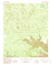 White Horse Lake 1989 topographic map thumbnail