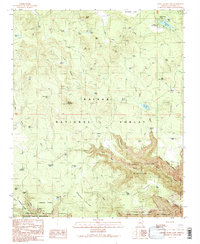 White Horse Lake 1989 topographic map thumbnail