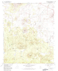 Whiting Knoll 1969 topographic map thumbnail