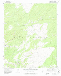 Wide Ruins 1971 topographic map thumbnail