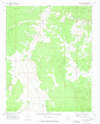 Wildcat Ranch 1971 topographic map thumbnail