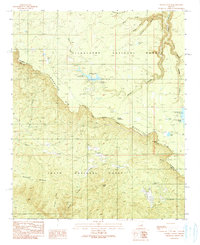 Woods Canyon 1990 topographic map thumbnail